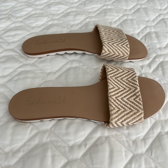 Splendid Slides - Picture 2 of 4